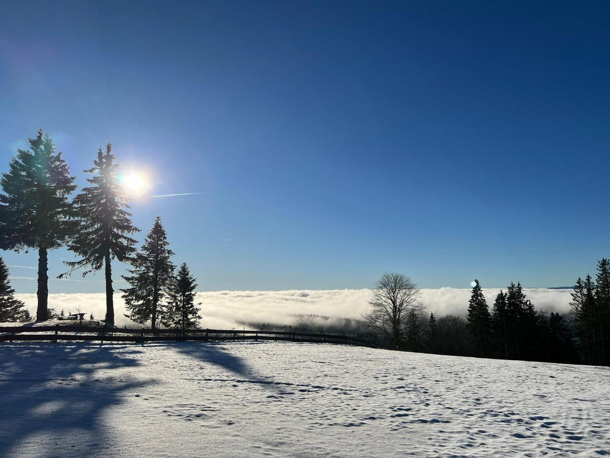Naturfreundehaus Brend Furtwangen